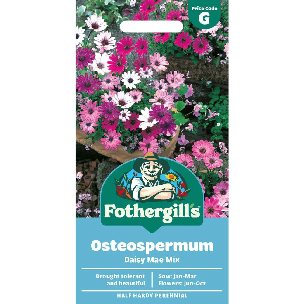 Mr Fothergill's Osteospermum Daisy Mae Mixed Seeds
