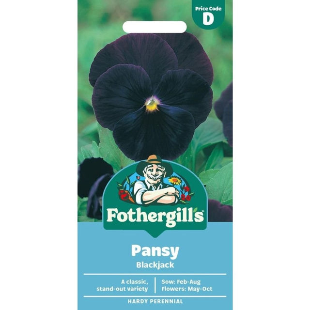Mr Fothergill's Pansy Blackjack Seeds - Old Railway Line Garden Centre