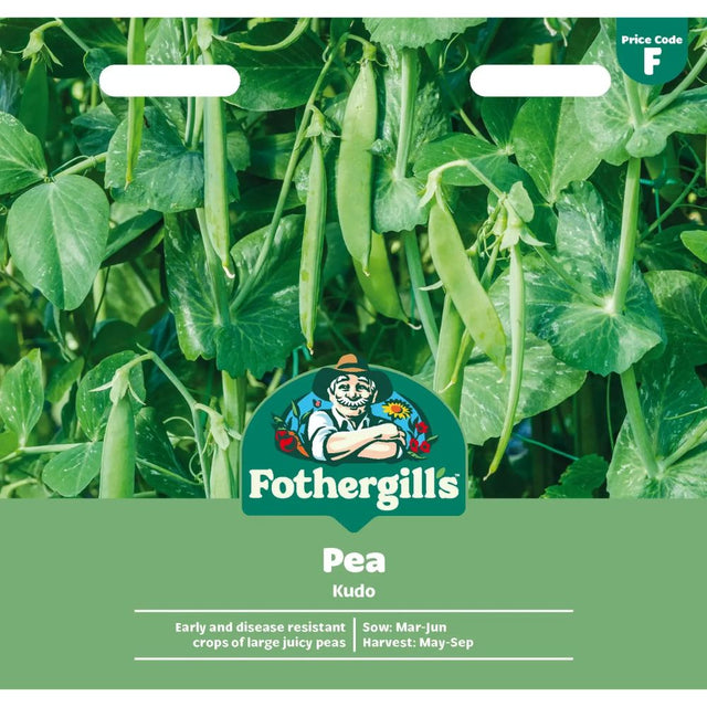 Mr Fothergill's Pea Kudo Seeds Seeds - Old Railway Line Garden Centre