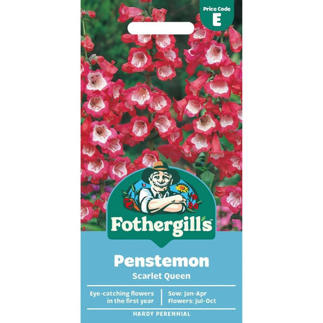 Mr Fothergills Penstemon Scarlet Queen Seeds - Old Railway Line Garden Centre