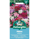 Mr Fothergill's Phlox Brilliancy Seeds