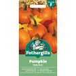 Mr Fothergill's Pumpkin Baby Bear Seeds - Old Railway Line Garden Centre