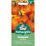 Mr Fothergill's Pumpkin Baby Bear Seeds