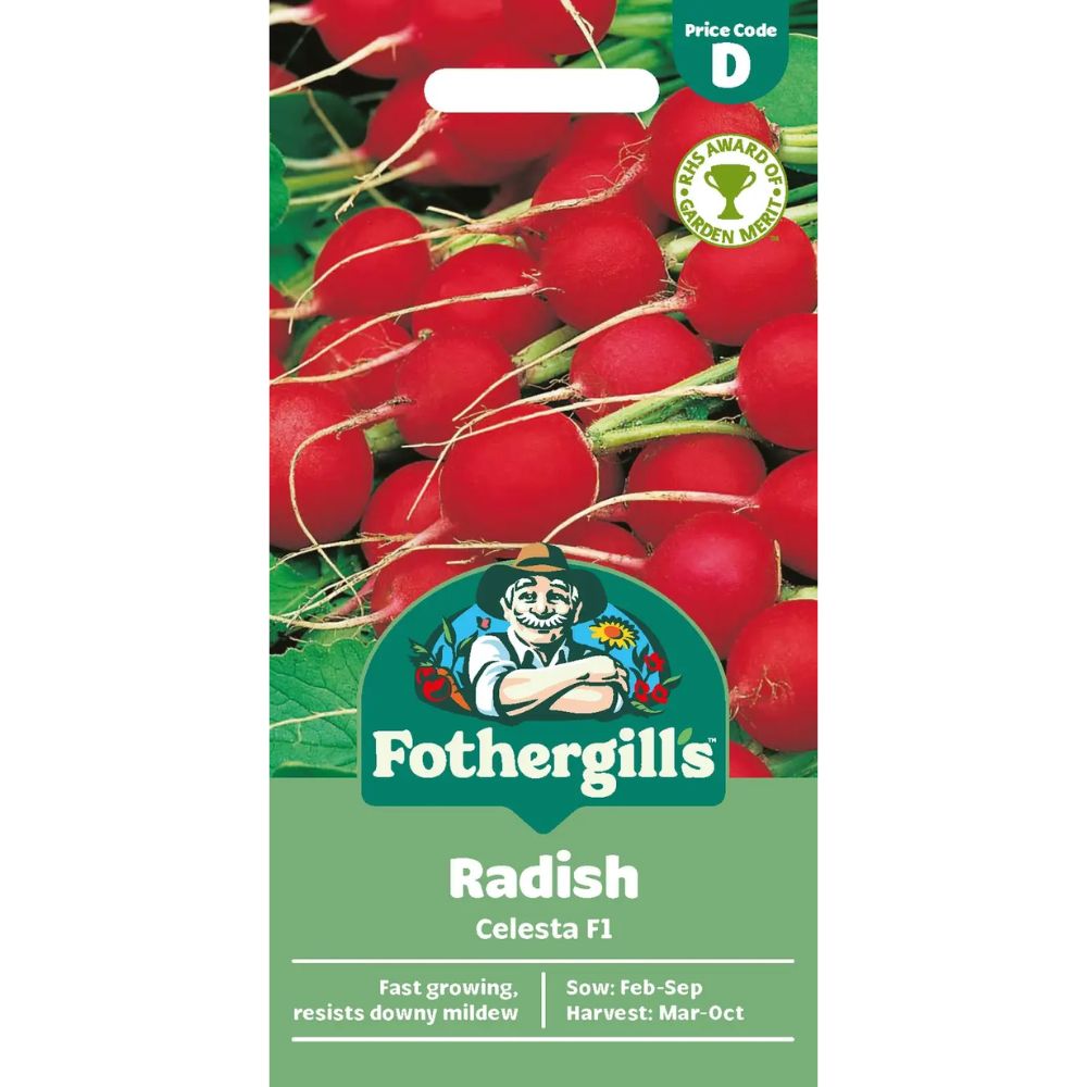 Mr Fothergill's Radish Celesta F1 Seeds