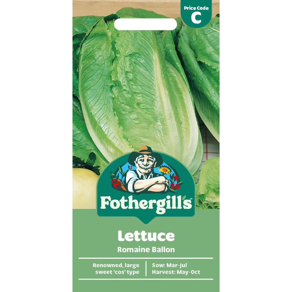 Mr Fothergill's Lettuce Romaine Ballon Seeds