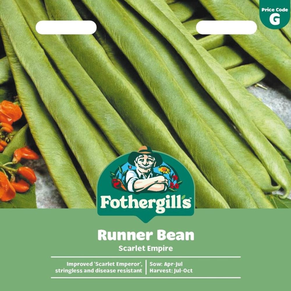Mr Fothergill's Runner Bean Scarlet Empire (Stringless) Seeds
