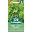 Mr Fothergill's Salad Leaves Mesclun Mixed Seeds - Old Railway Line Garden Centre