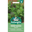 Mr Fothergill's Salad Leaves Mixed Spicy Seeds - Old Railway Line Garden Centre