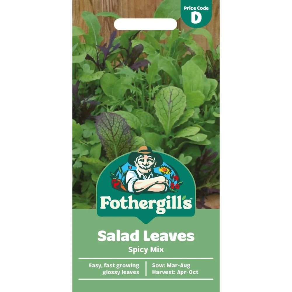 Mr Fothergill's Salad Leaves Mixed Spicy Seeds - Old Railway Line Garden Centre