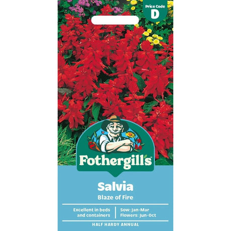 Mr Fothergills Salvia Blaze of Fire Seeds - Old Railway Line Garden Centre