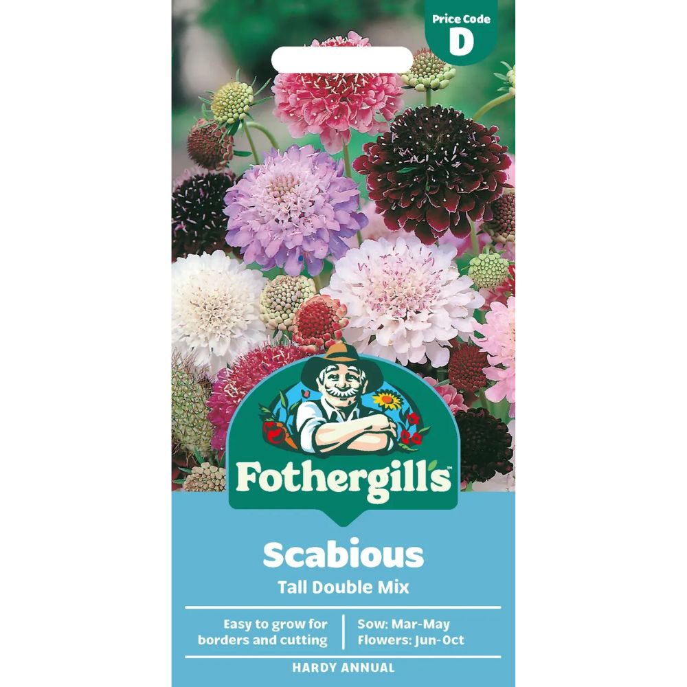 Mr Fothergill's Scabious Tall Double Mixed Seeds