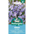 Mr Fothergills Silene Blue Angel Seeds - Old Railway Line Garden Centre