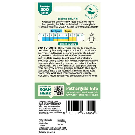 Mr Fothergill's Spinach Emilia F1 Seeds - Old Railway Line Garden Centre