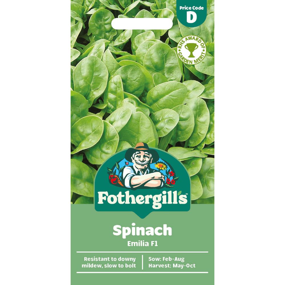 Mr Fothergill's Spinach Emilia F1 Seeds
