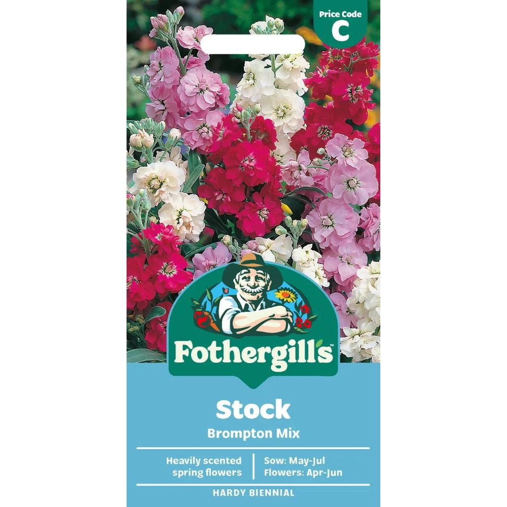 Mr Fothergills Stock Brompton Mixed Seeds
