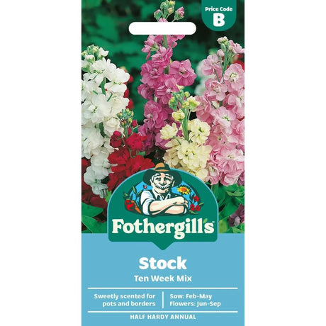 Mr Fothergills Stock Dwarf Ten Week Mixed Seeds - Old Railway Line Garden Centre