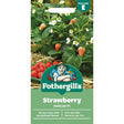 Mr Fothergill's Strawberry Delican F1 Seeds - Old Railway Line Garden Centre