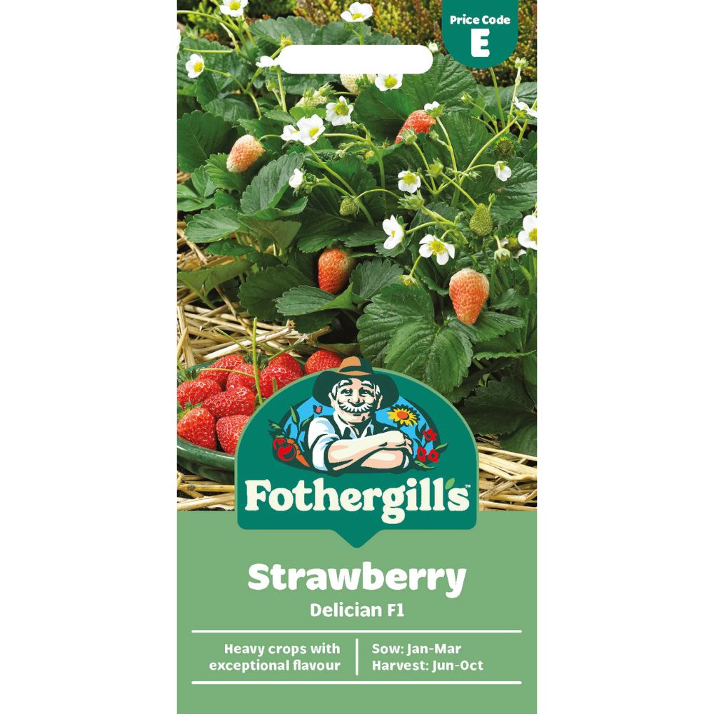 Mr Fothergill's Strawberry Delican F1 Seeds