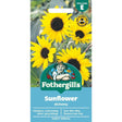 Mr Fothergill's Sunflower Alchemy Seeds - Old Railway Line Garden Centre