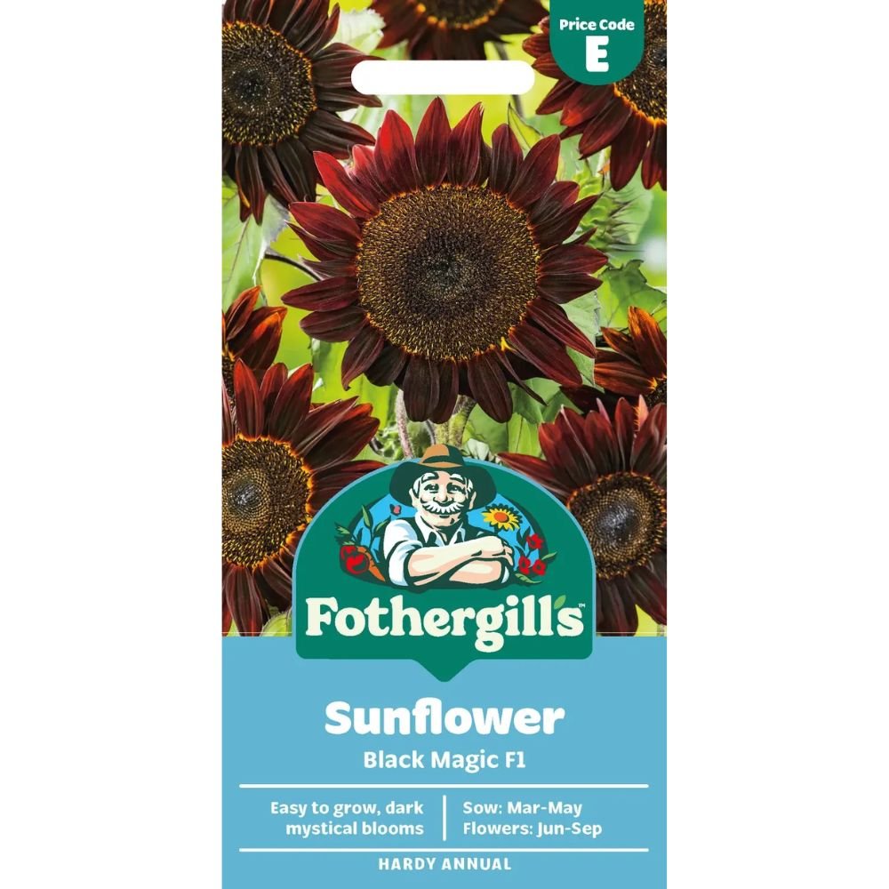 Mr Fothergill's Sunflower Black Magic F1 Seeds - Old Railway Line Garden Centre