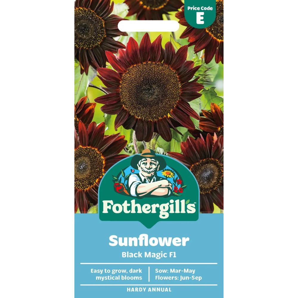 Mr Fothergill's Sunflower Black Magic F1 Seeds