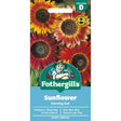 Mr Fothergills Sunflower Evening Sun Seeds - Old Railway Line Garden Centre