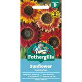 Mr Fothergills Sunflower Evening Sun Seeds