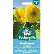Mr Fothergill's Sunflower Gummy Bear Seeds - Old Railway Line Garden Centre