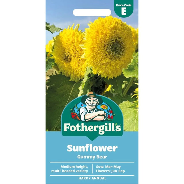 Mr Fothergill's Sunflower Gummy Bear Seeds - Old Railway Line Garden Centre