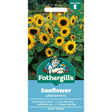 Mr Fothergills Sunflower Little Dorrit F1 Seeds - Old Railway Line Garden Centre