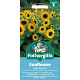 Mr Fothergills Sunflower Little Dorrit F1 Seeds