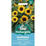 Mr Fothergills Sunflower Mahogany Seeds - Old Railway Line Garden Centre