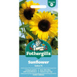Mr Fothergill's Sunflower Soleo F1 Seeds - Old Railway Line Garden Centre