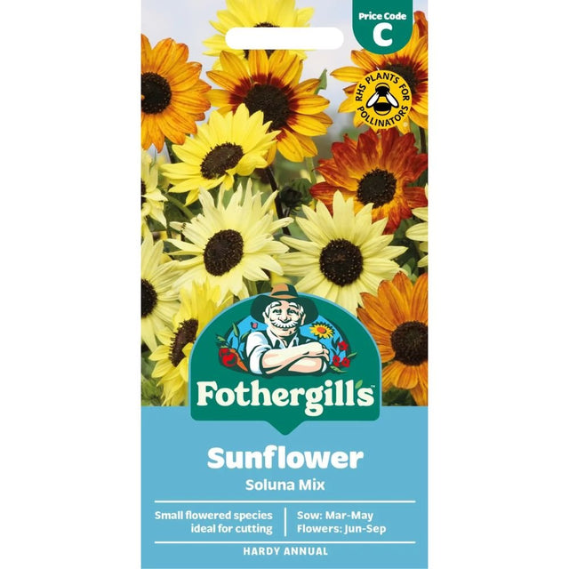 Mr Fothergill's Sunflower Soluna Mix Seeds - Old Railway Line Garden Centre