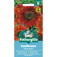 Mr Fothergill's Sunflower Velvet Queen Seeds - Old Railway Line Garden Centre