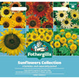 Mr Fothergills Sunflowers Collection Seeds - (Pack of 6) - Old Railway Line Garden Centre