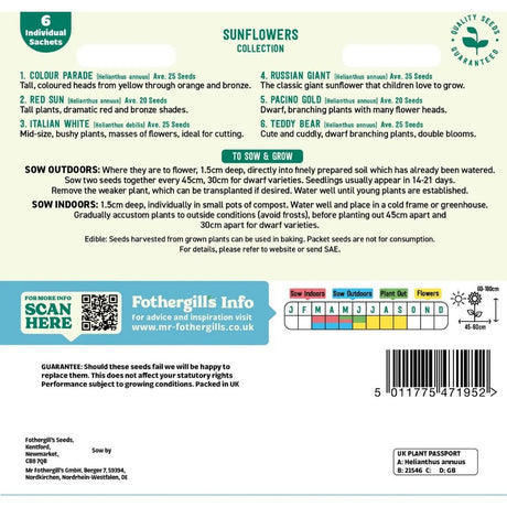 Mr Fothergills Sunflowers Collection Seeds - (Pack of 6) - Old Railway Line Garden Centre