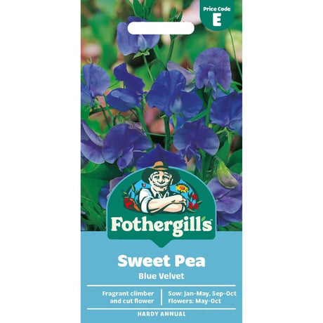 Mr Fothergill's Sweet Pea Blue Velvet Seeds - Old Railway Line Garden Centre
