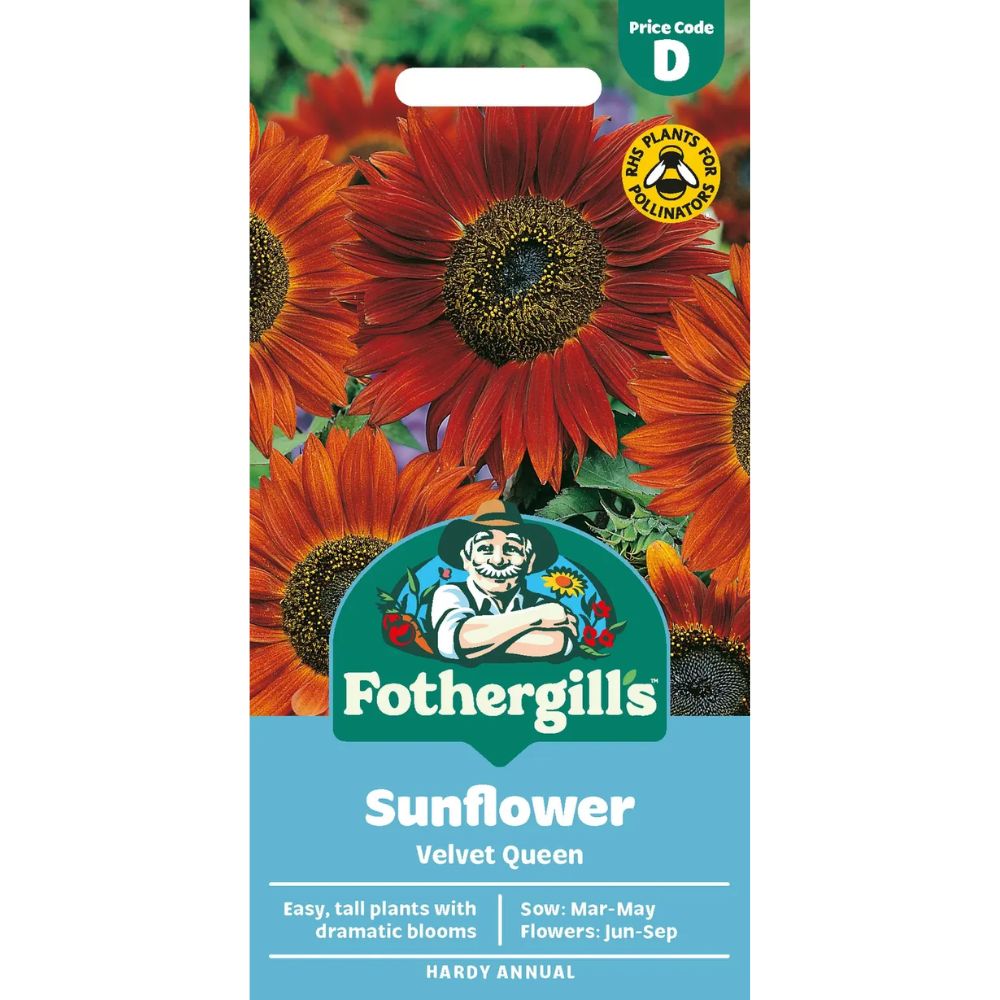 Mr Fothergill's Sunflower Velvet Queen Seeds