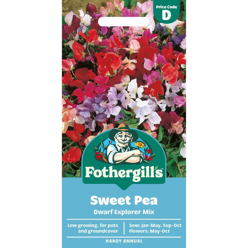 Mr Fothergills Sweet Pea Dwarf Explorer Mixed Seeds