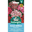 Mr Fothergill's Sweet William Single Mixed Seeds - Old Railway Line Garden Centre
