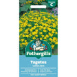 Mr Fothergill's Tagetes Lemon Gem Seeds - Old Railway Line Garden Centre