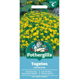 Mr Fothergill's Tagetes Lemon Gem Seeds