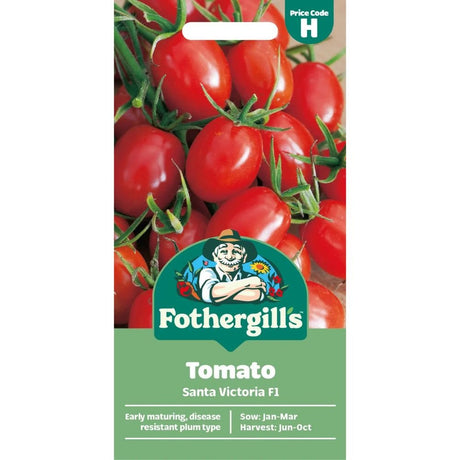 Mr Fothergill's Tomato Santa Victoria F1 Seeds - Old Railway Line Garden Centre
