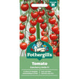 Mr Fothergill's Tomato Suncherry Smile F1 Seeds - Old Railway Line Garden Centre