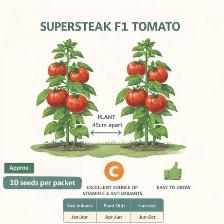 Mr Fothergill's Tomato Supersteak F1 Seeds - Old Railway Line Garden Centre