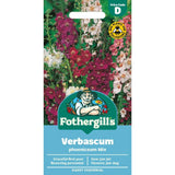 Mr Fothergill's Verbascum Mixed Seeds - Old Railway Line Garden Centre