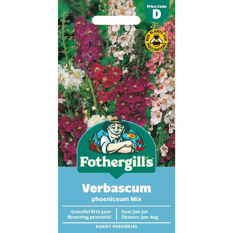 Mr Fothergill's Verbascum Mixed Seeds - Old Railway Line Garden Centre