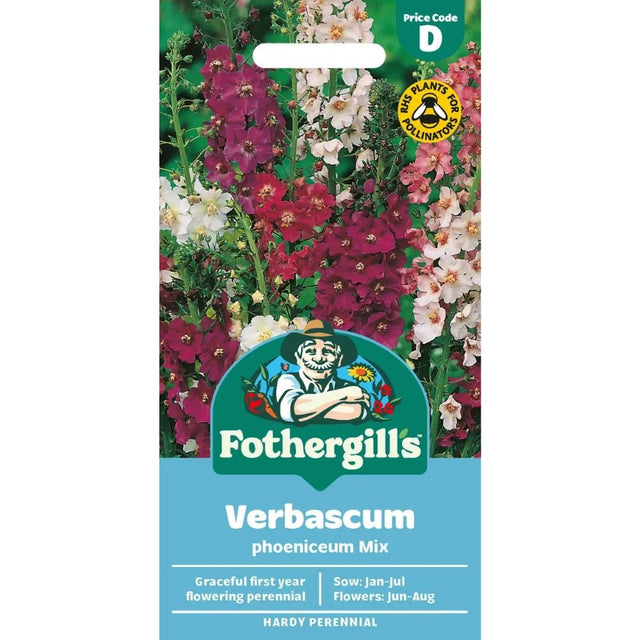 Mr Fothergill's Verbascum Mixed Seeds - Old Railway Line Garden Centre