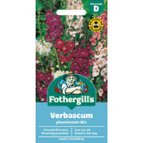 Mr Fothergill's Verbascum Mixed Seeds